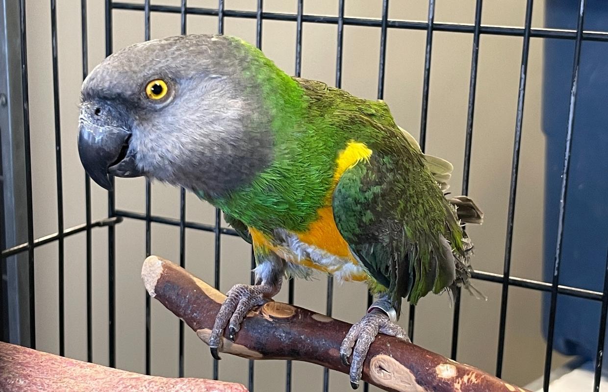 You never know what you'll find!